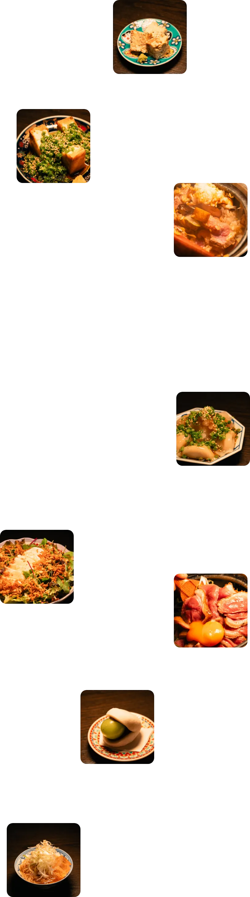 料理の写真 右